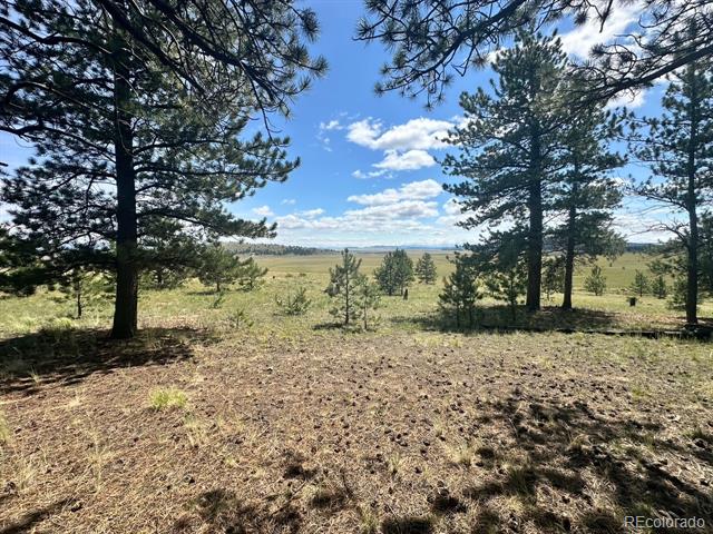 2743 Wagon Wheel Road