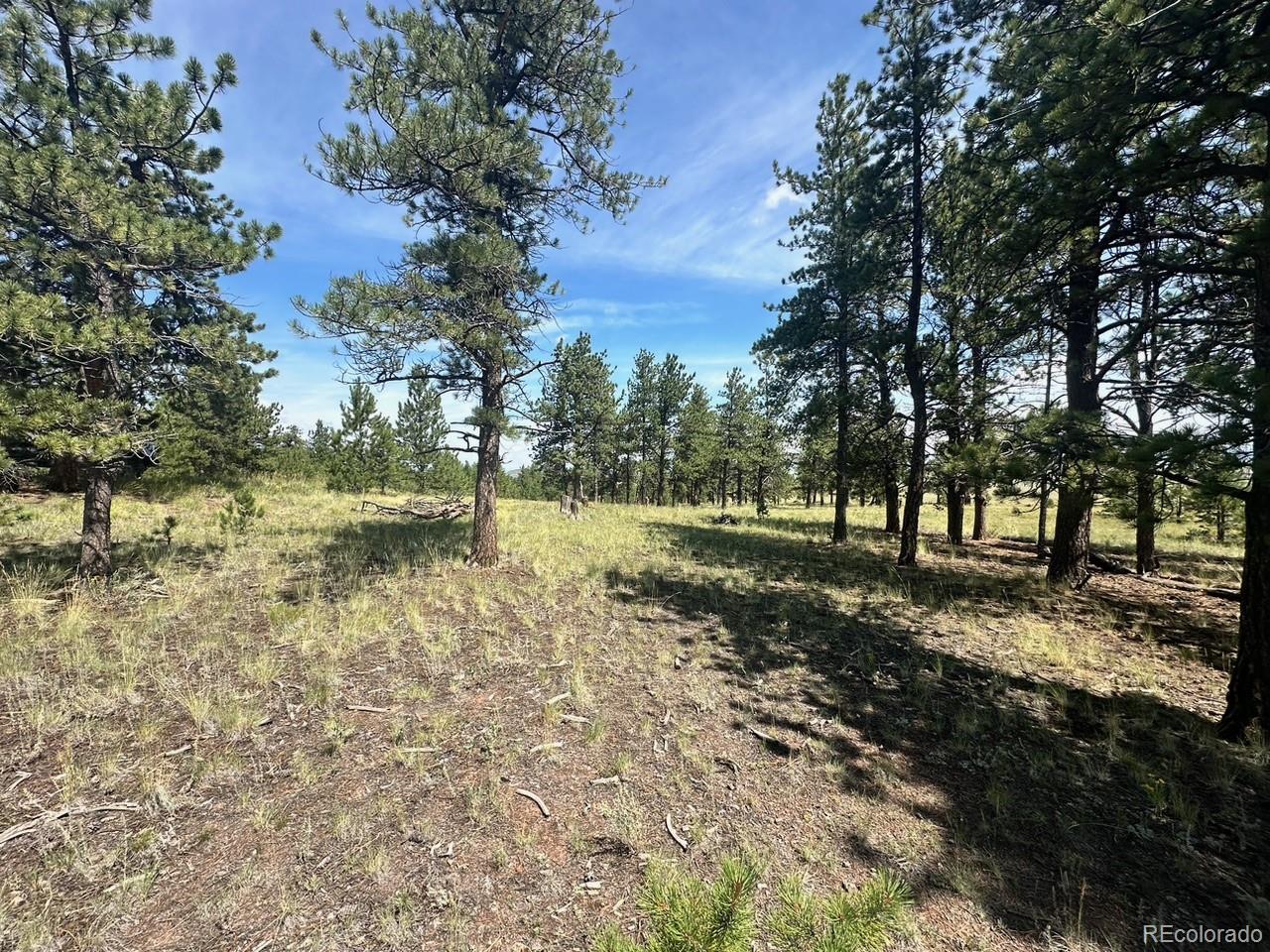 2743 Wagon Wheel Road