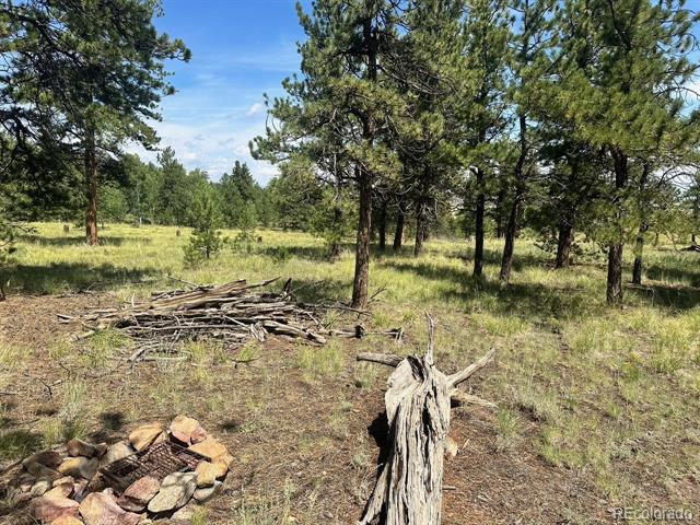 2743 Wagon Wheel Road