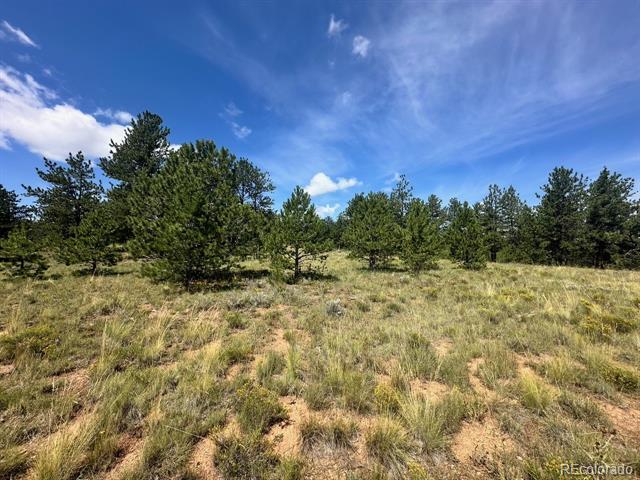 2743 Wagon Wheel Road