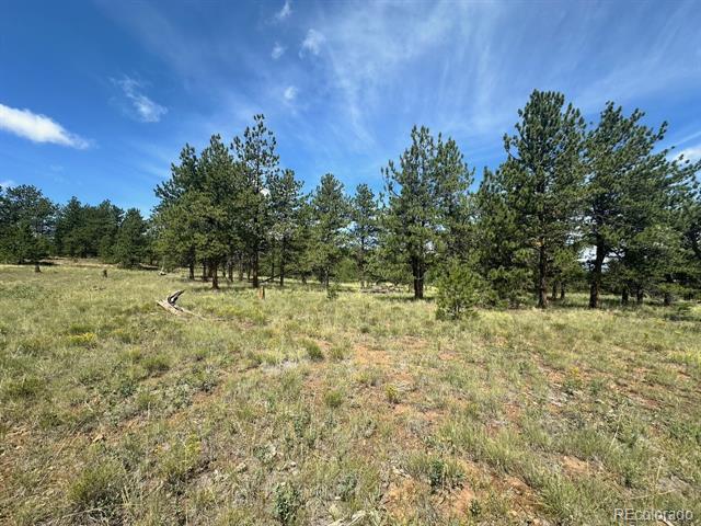 2743 Wagon Wheel Road