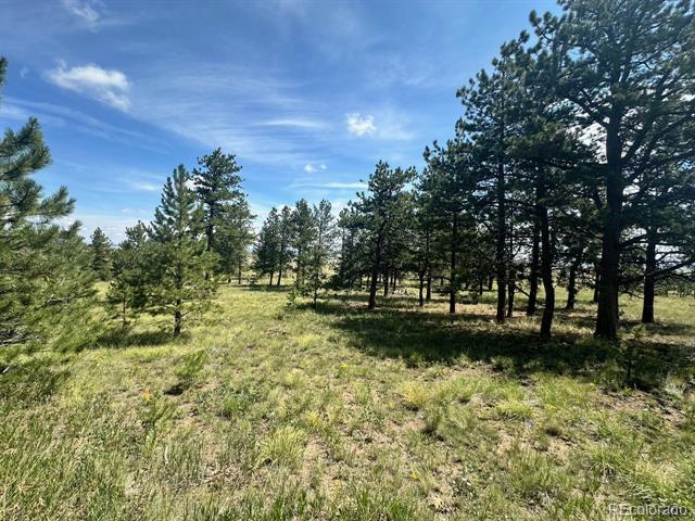 2743 Wagon Wheel Road