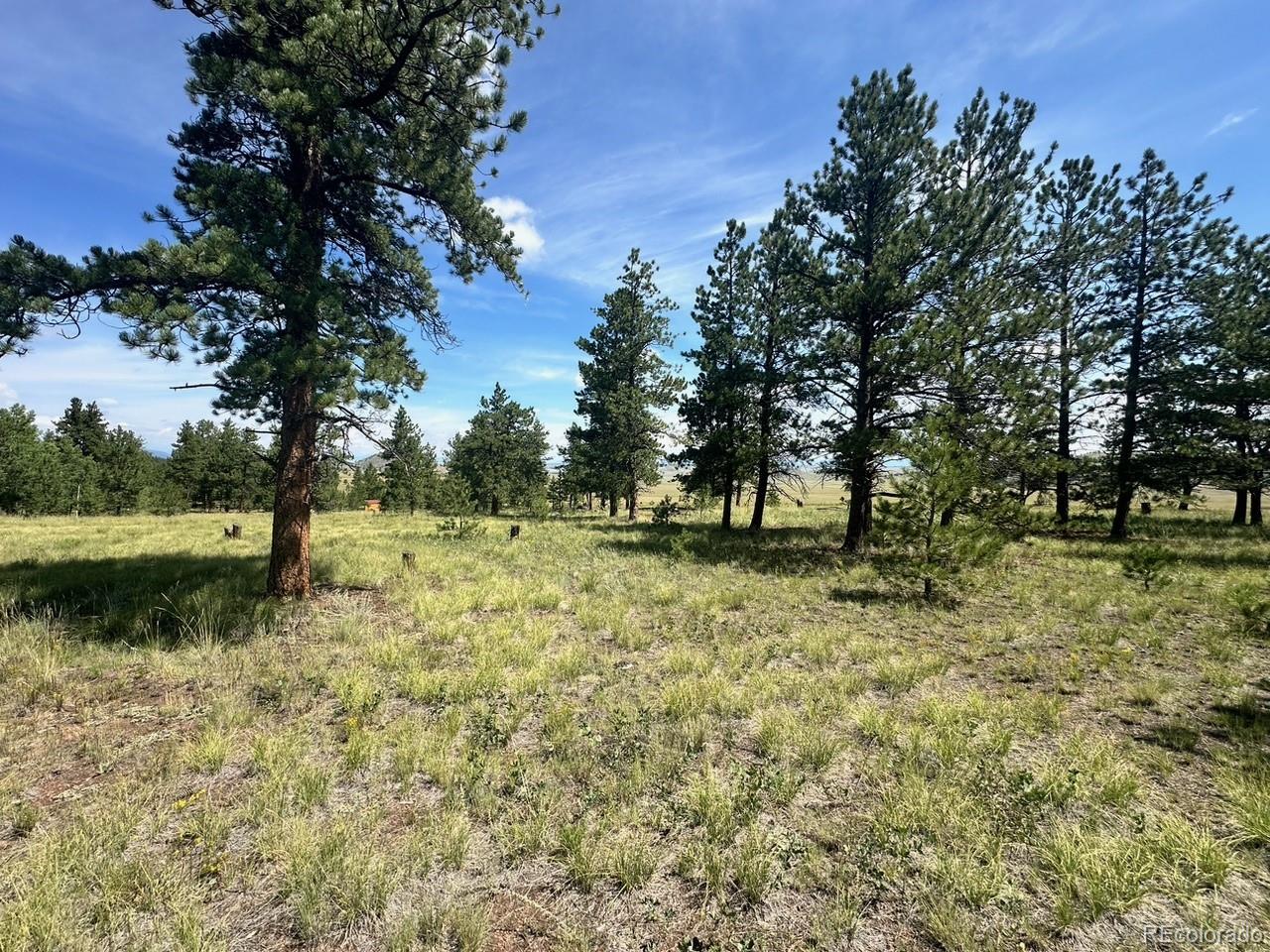 2743 Wagon Wheel Road