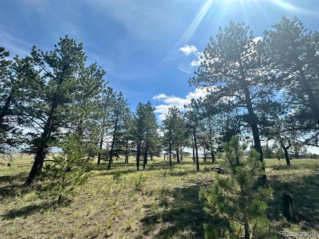 2743 Wagon Wheel Road
