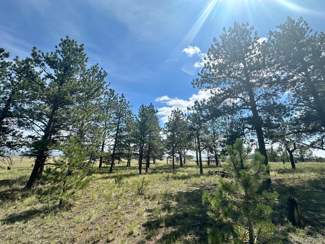 2743 Wagon Wheel Road