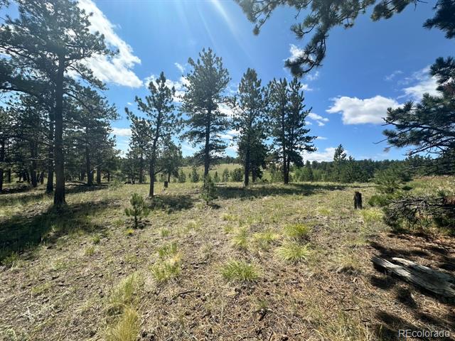 2743 Wagon Wheel Road