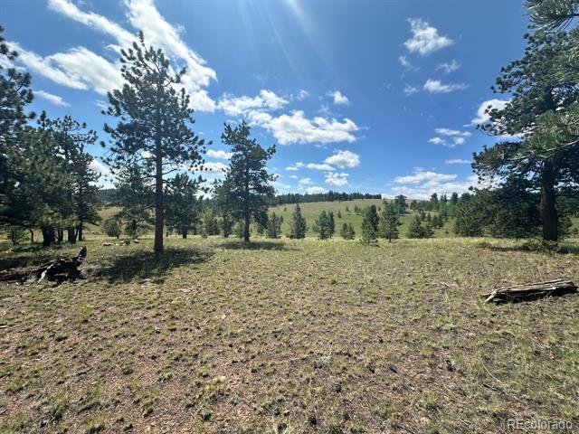 2743 Wagon Wheel Road