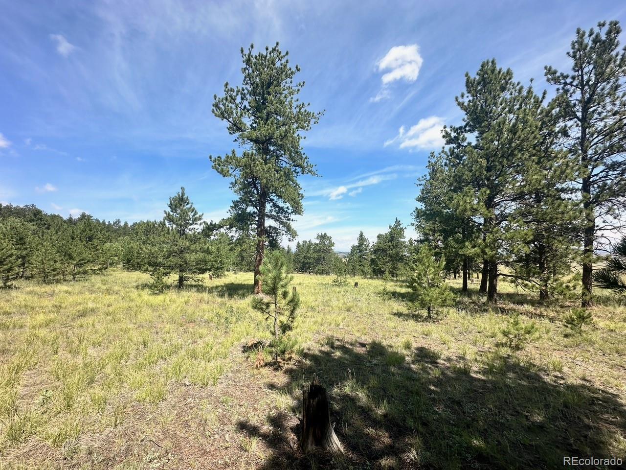 2743 Wagon Wheel Road
