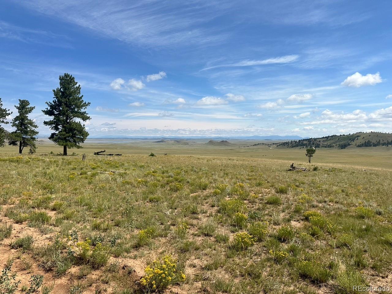 2743 Wagon Wheel Road
