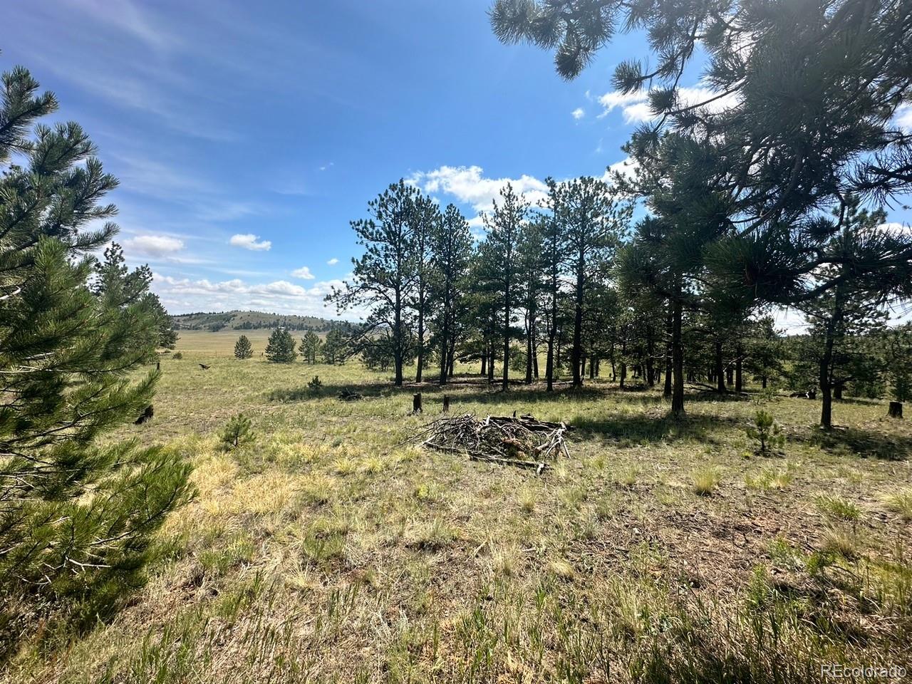 2743 Wagon Wheel Road