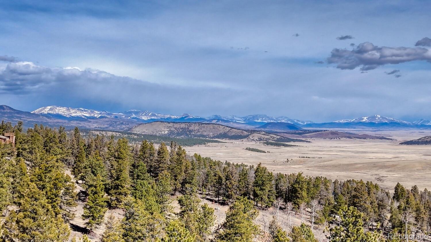 3561 Singletree Road