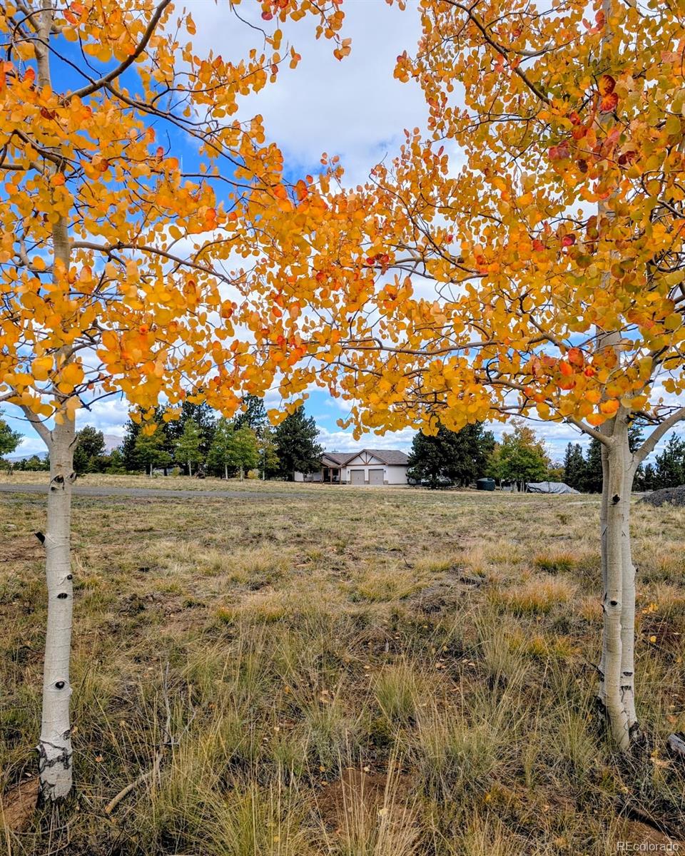 3561 Singletree Road