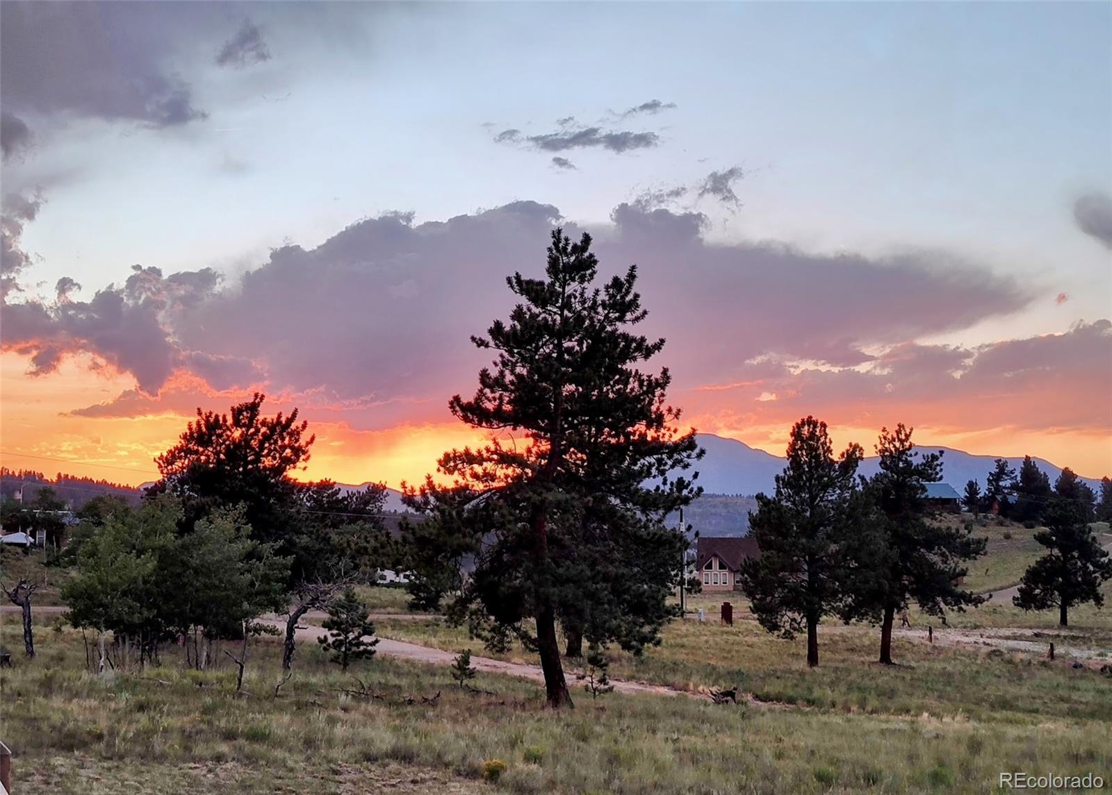 3561 Singletree Road