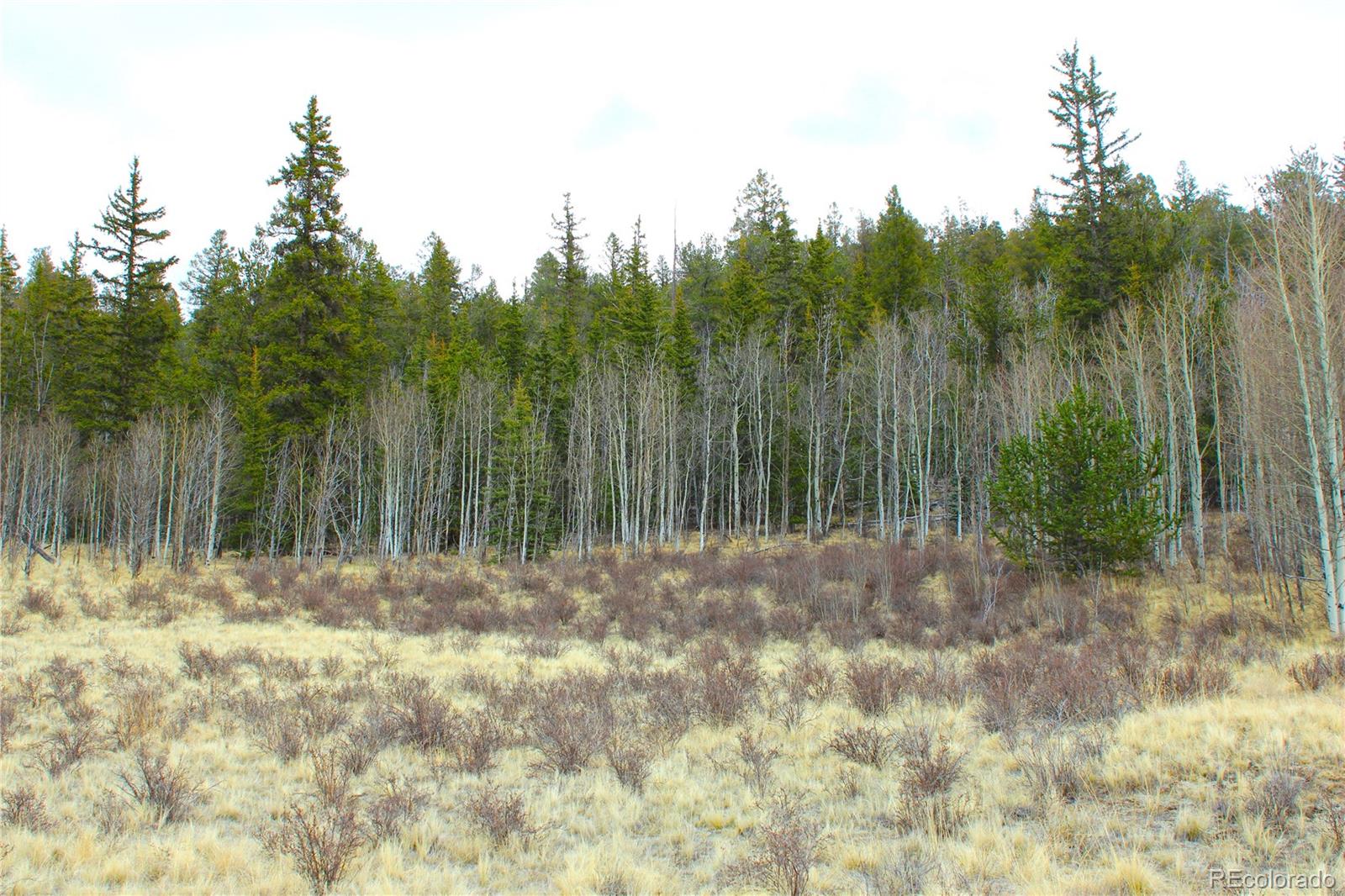 580 Ouray Trail