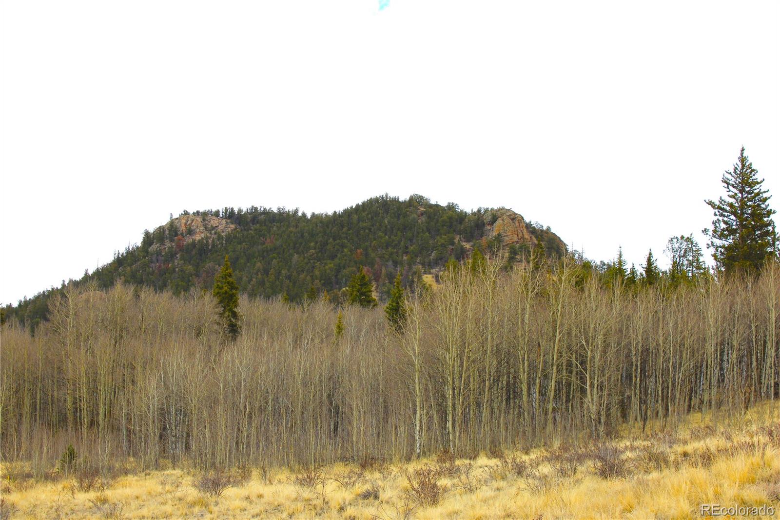 580 Ouray Trail