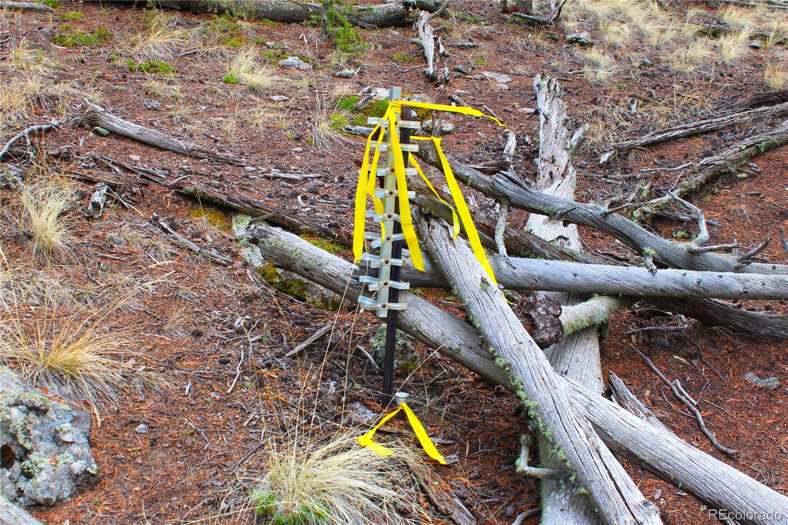 580 Ouray Trail
