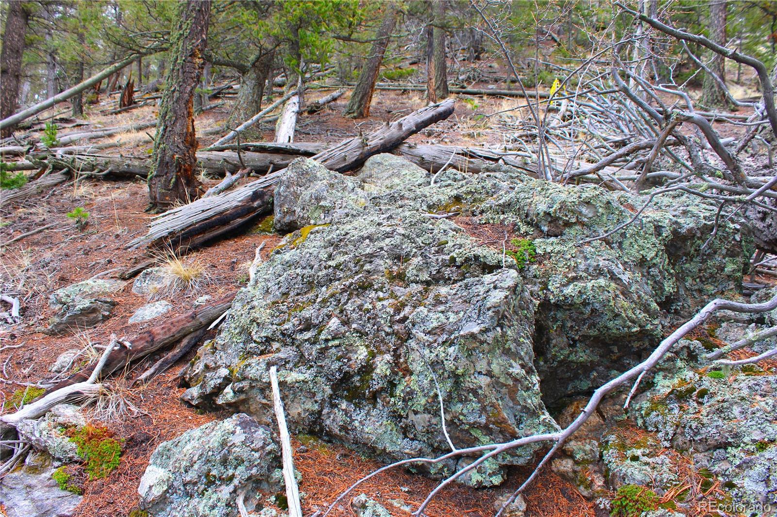 580 Ouray Trail