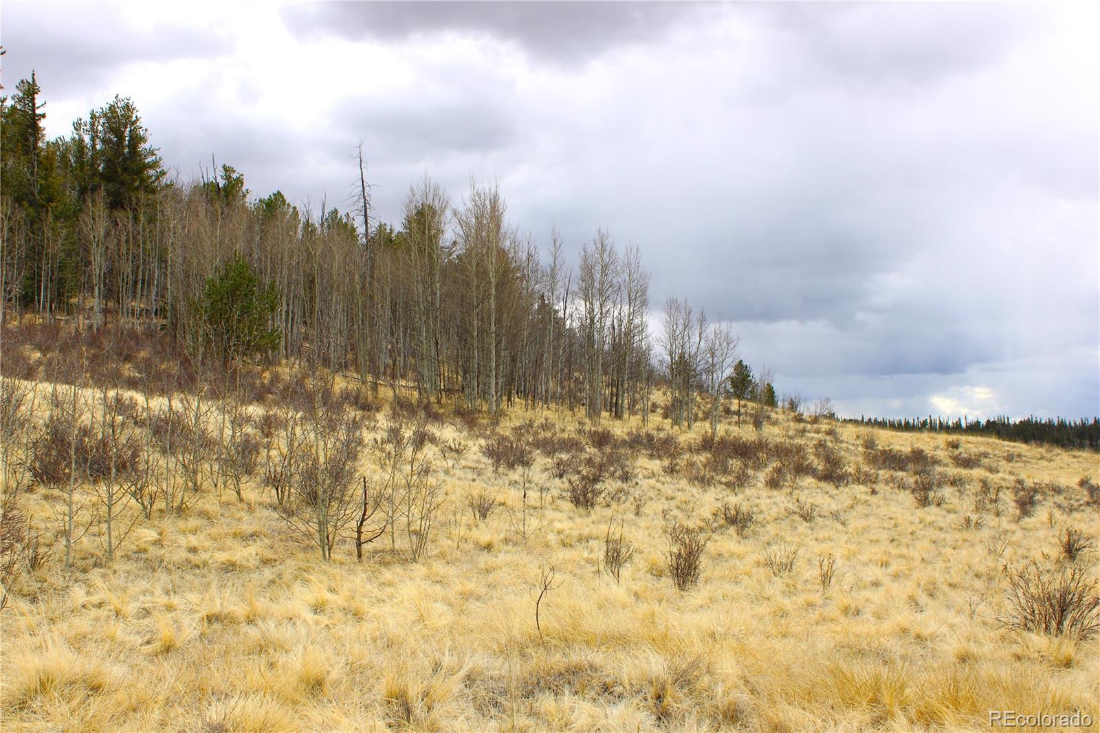 580 Ouray Trail
