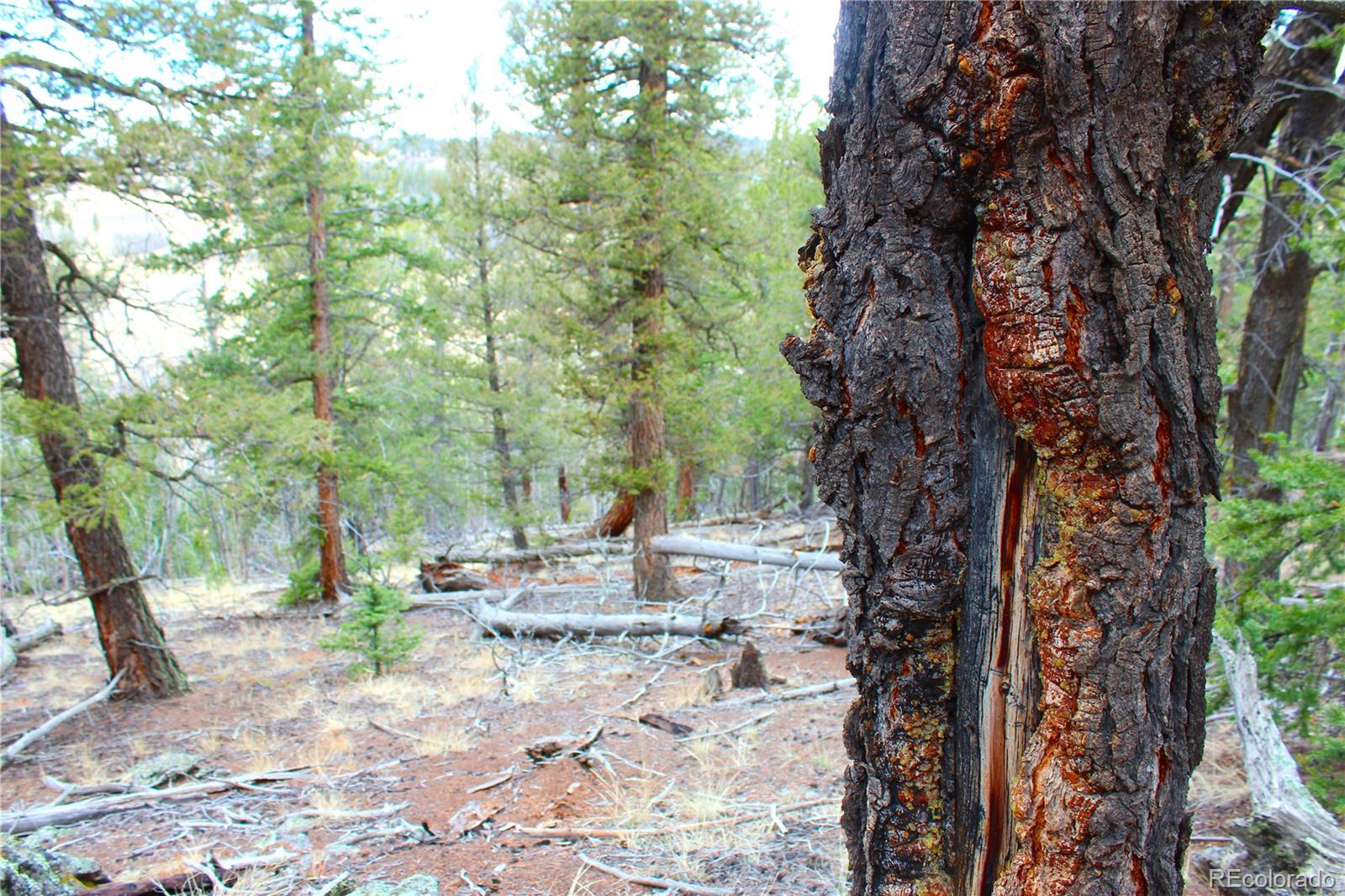 580 Ouray Trail