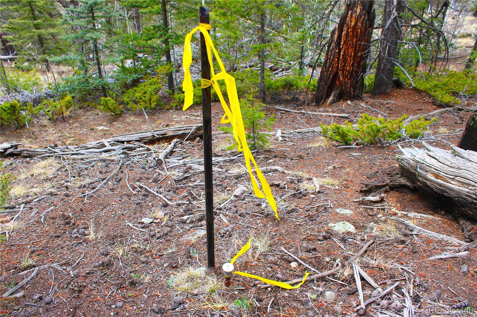 580 Ouray Trail