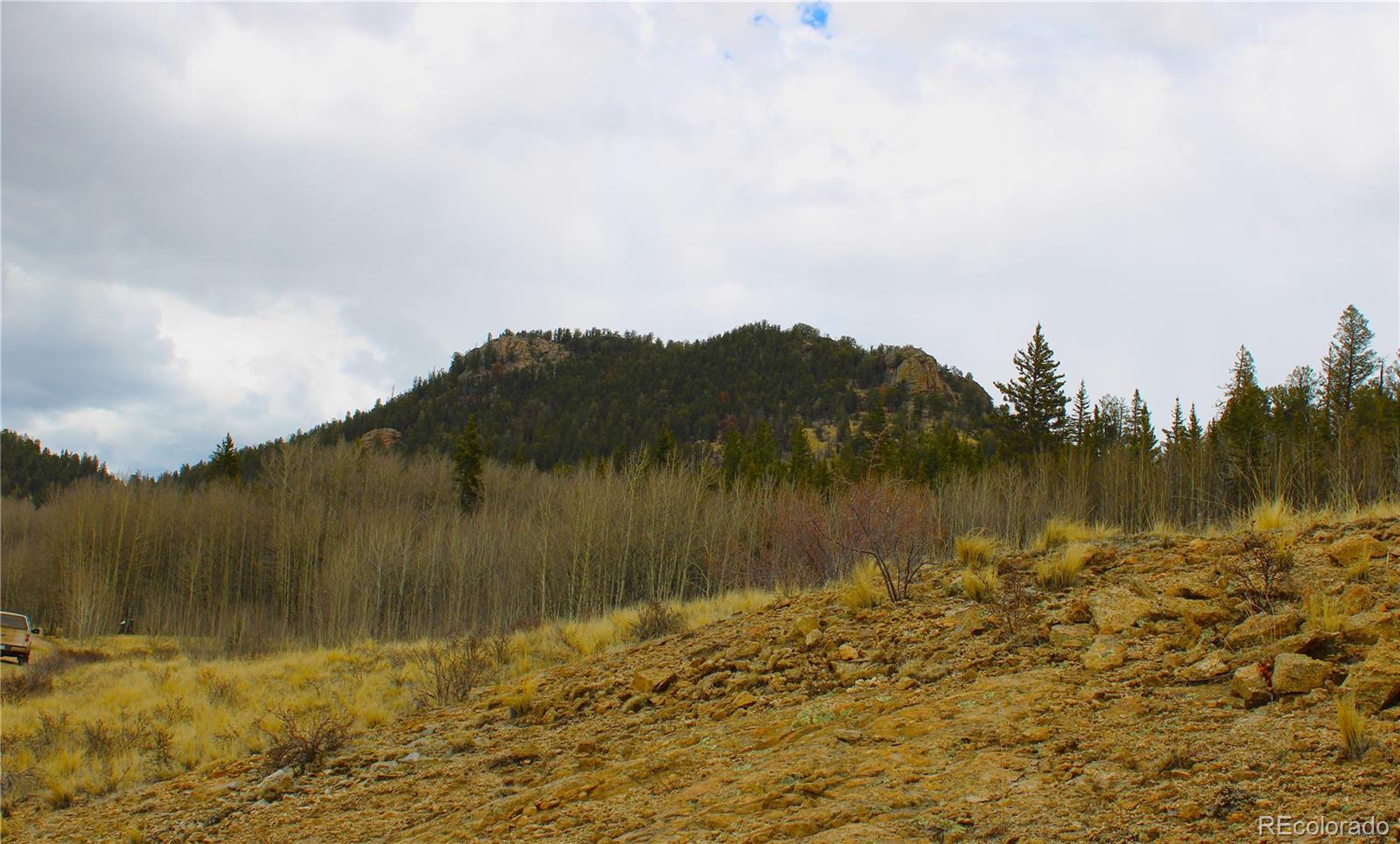 580 Ouray Trail