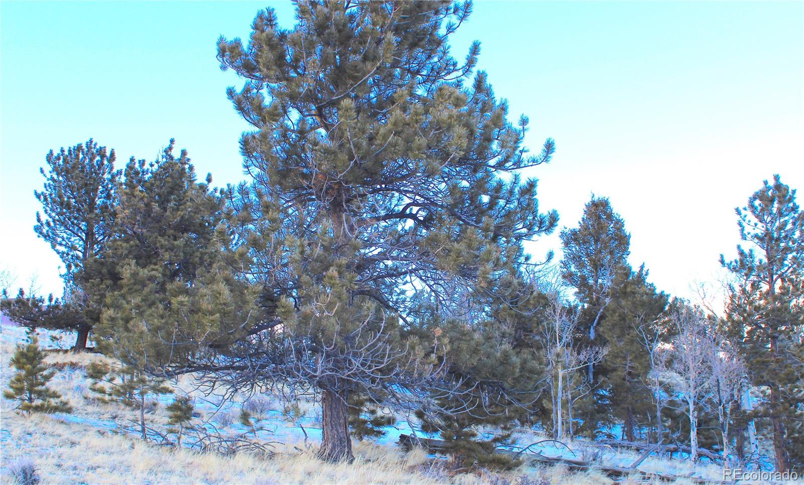 11414 Ranch Road