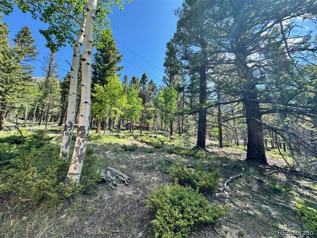 22560 County Road 292 A