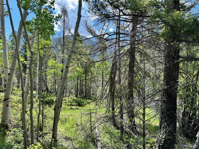 22560 County Road 292 A