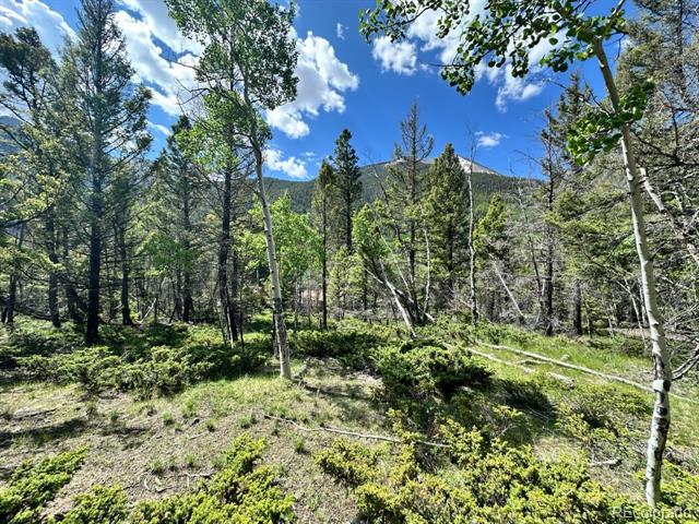 22560 County Road 292 A