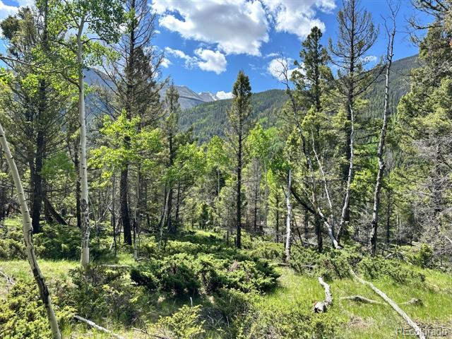 22560 County Road 292 A