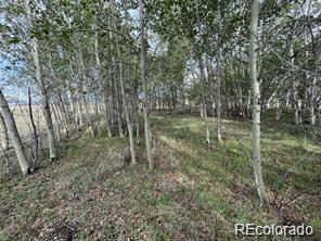 1599 Campfire Road