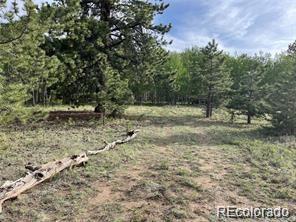 1599 Campfire Road