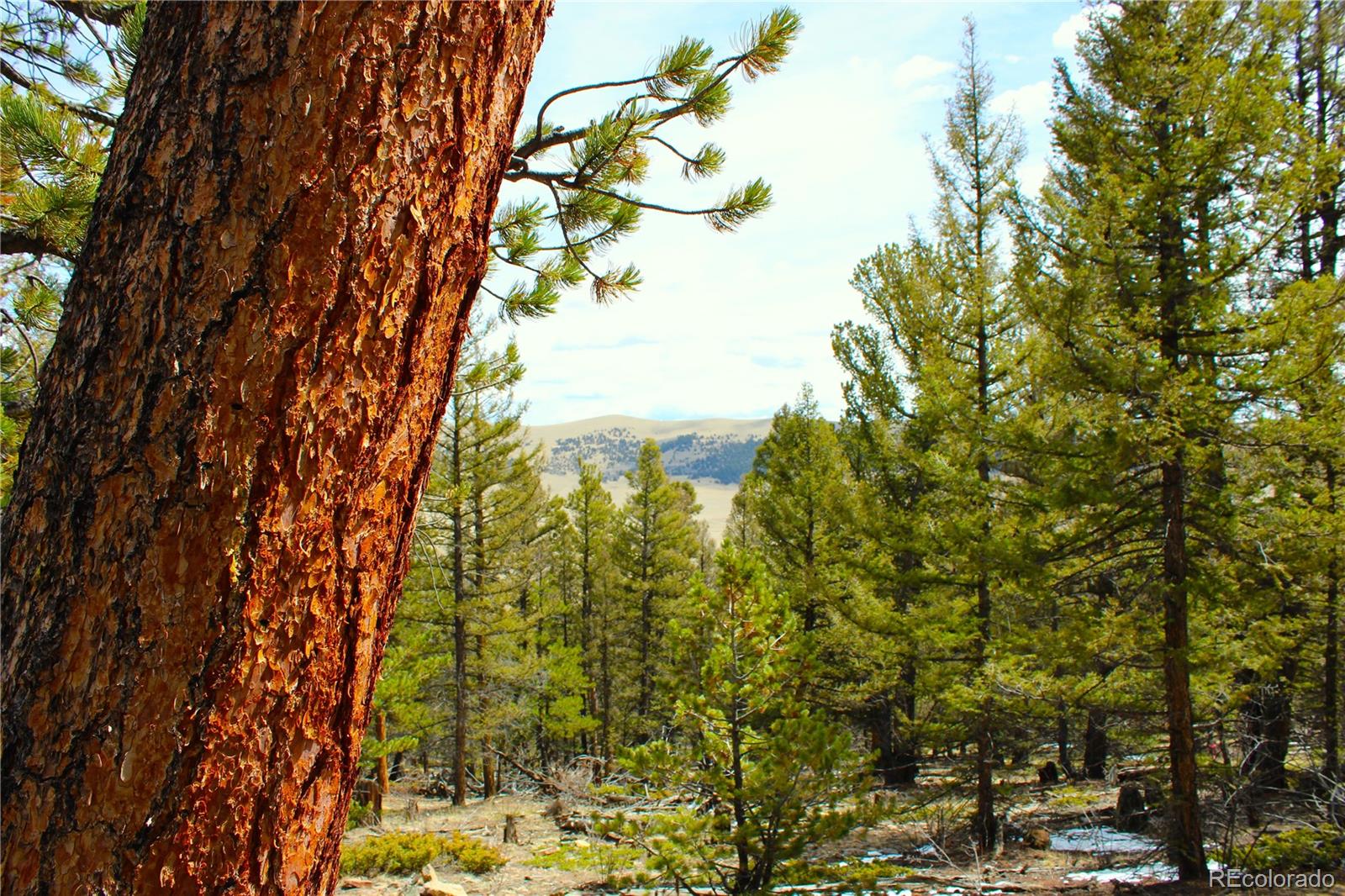 2882 Middle Fork Vista