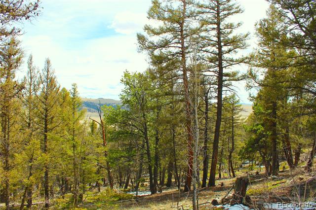 2882 Middle Fork Vista
