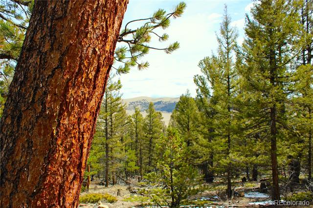 2882 Middle Fork Vista