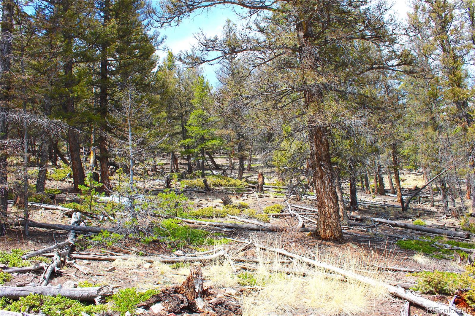 2882 Middle Fork Vista