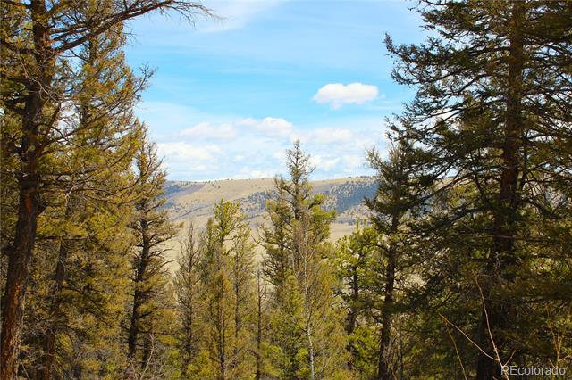 2882 Middle Fork Vista