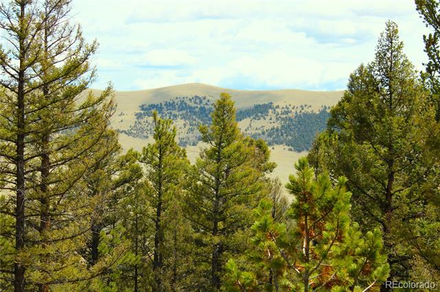 2882 Middle Fork Vista