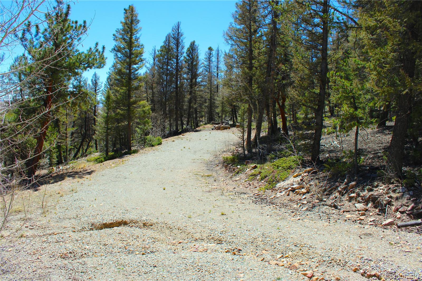 2882 Middle Fork Vista