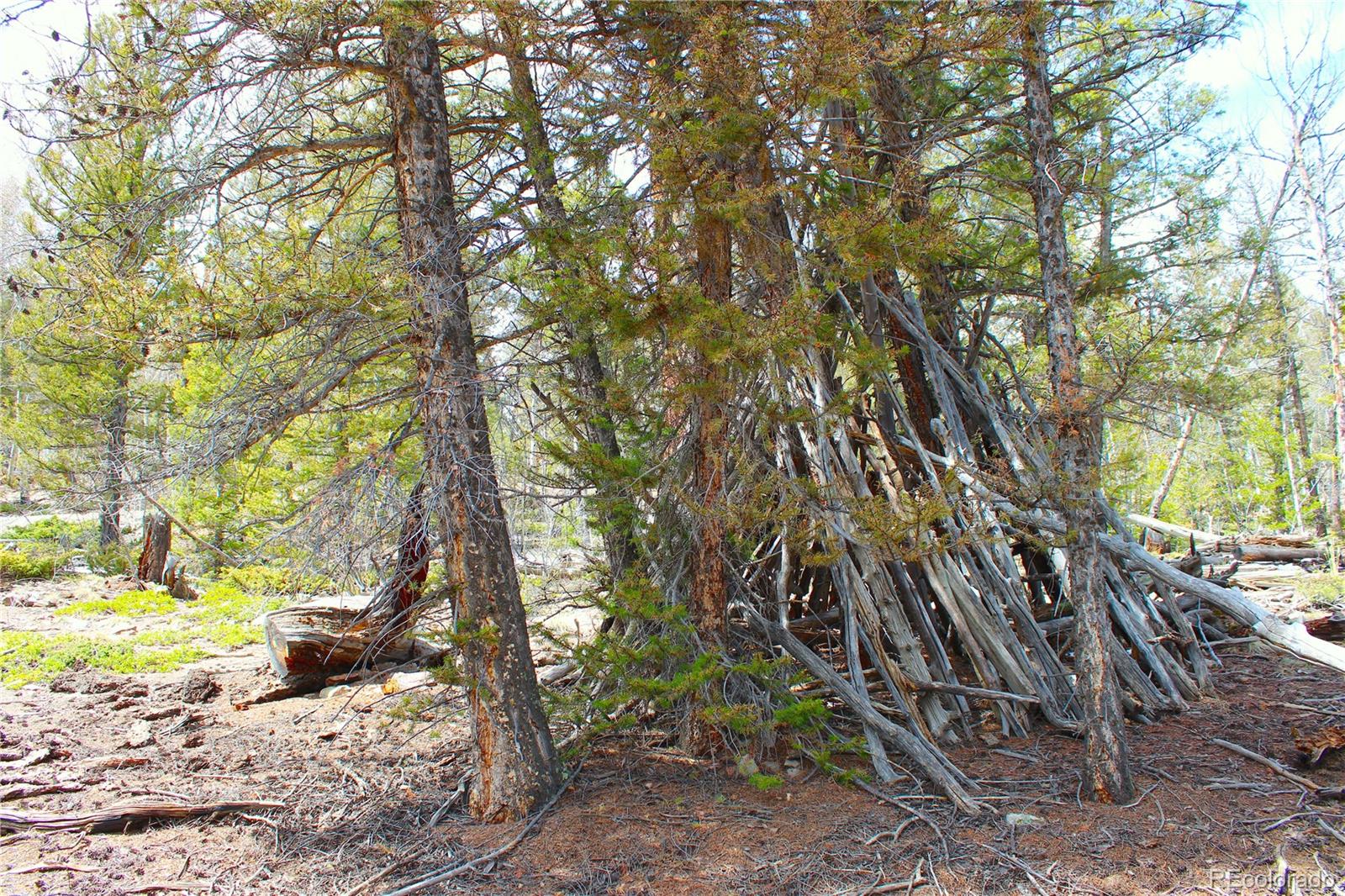2882 Middle Fork Vista