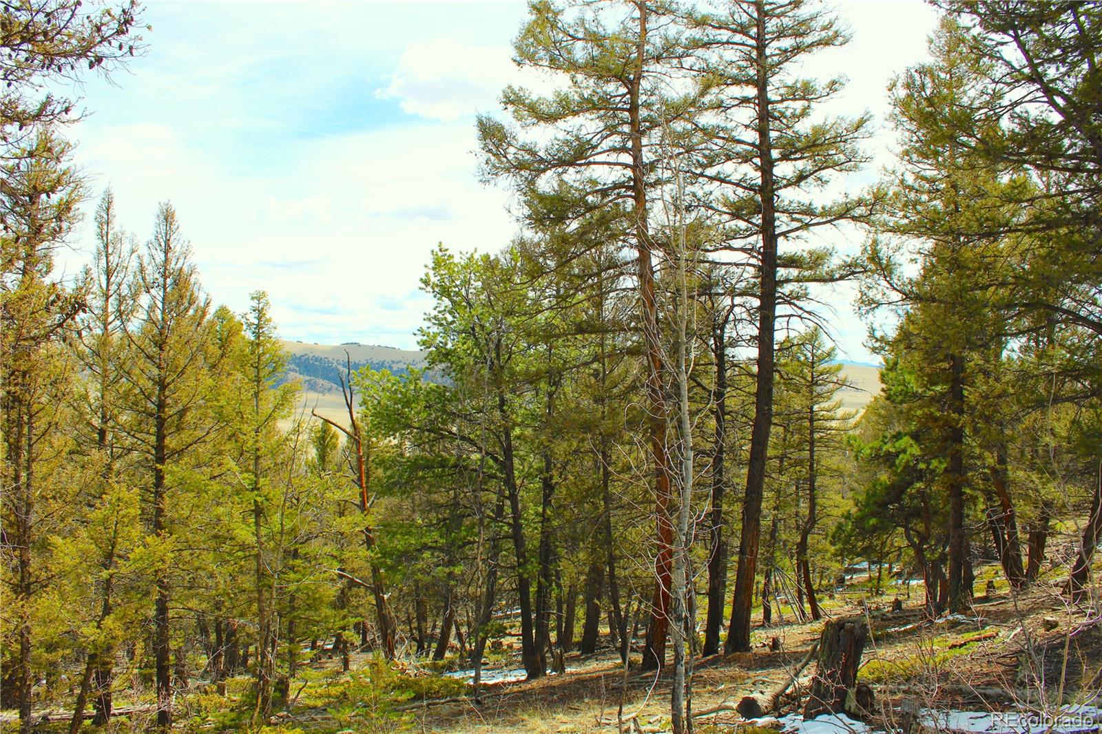2882 Middle Fork Vista