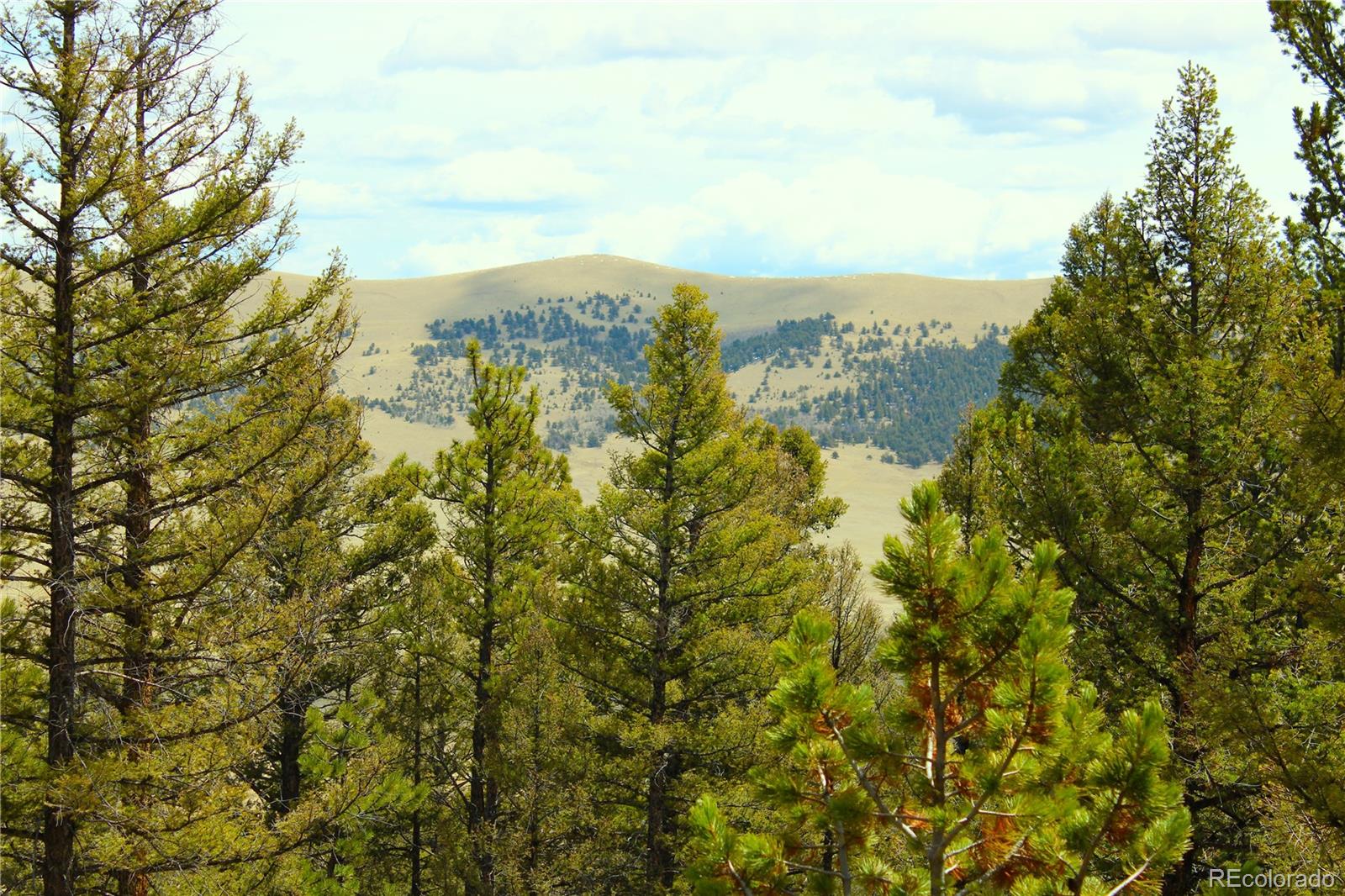 2882 Middle Fork Vista