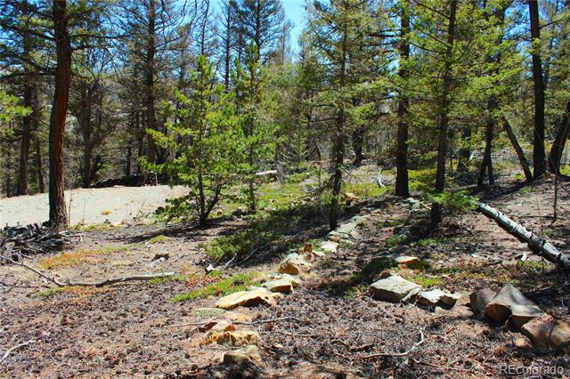 2882 Middle Fork Vista