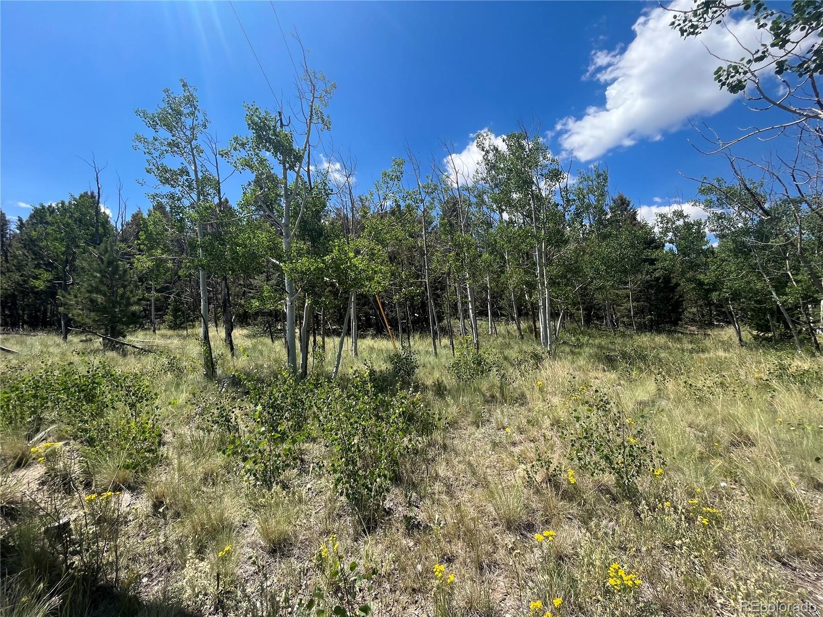 4056 Ranch Road
