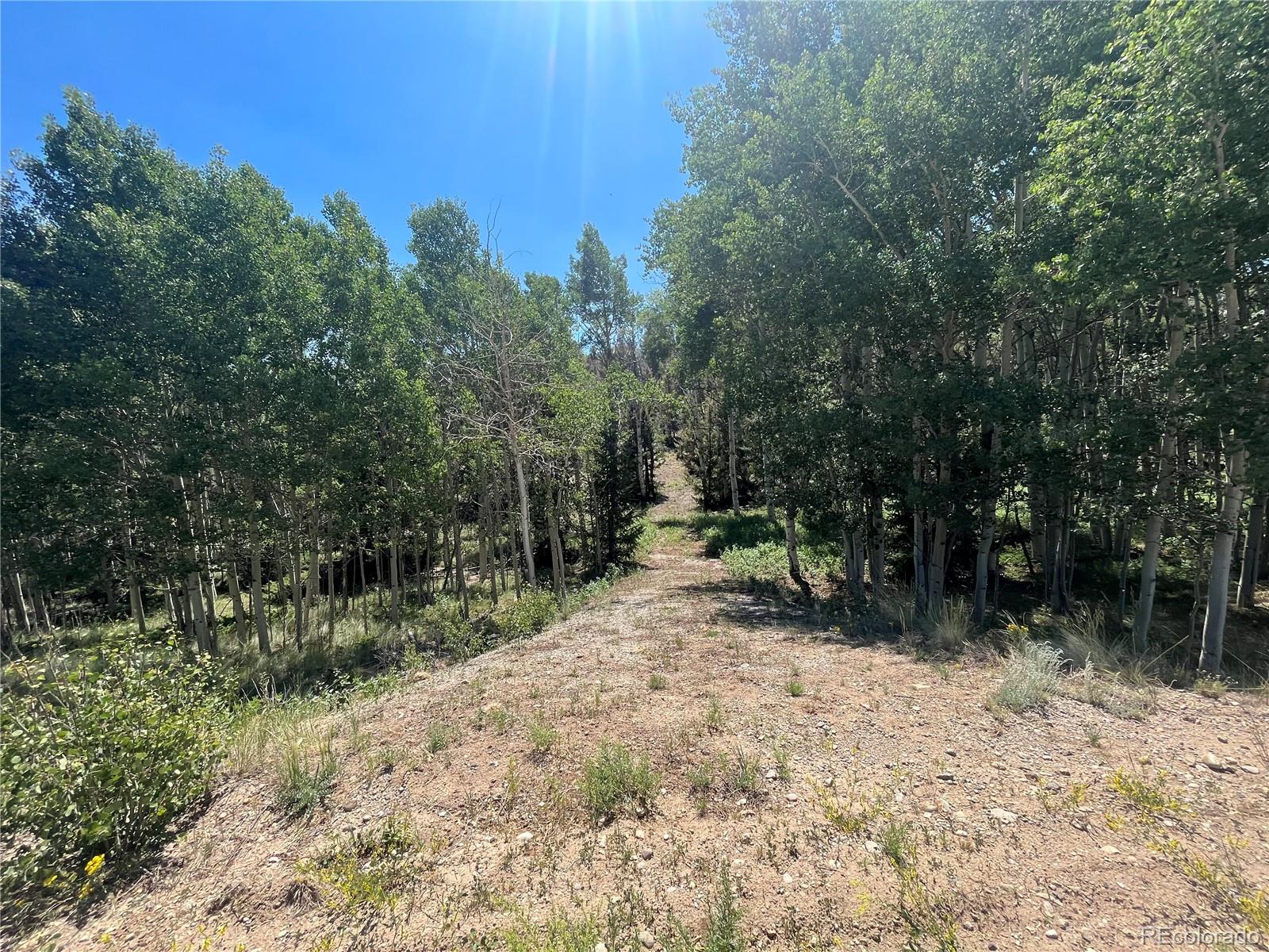 4056 Ranch Road