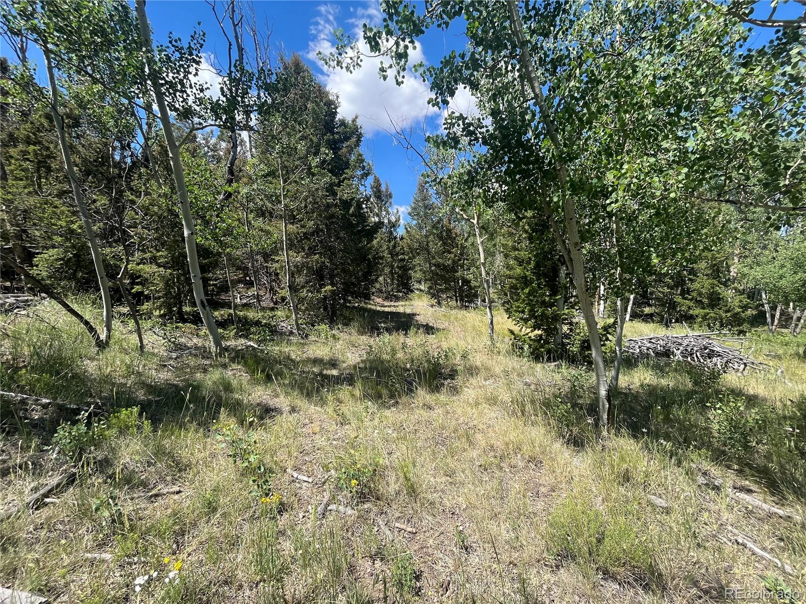 4056 Ranch Road