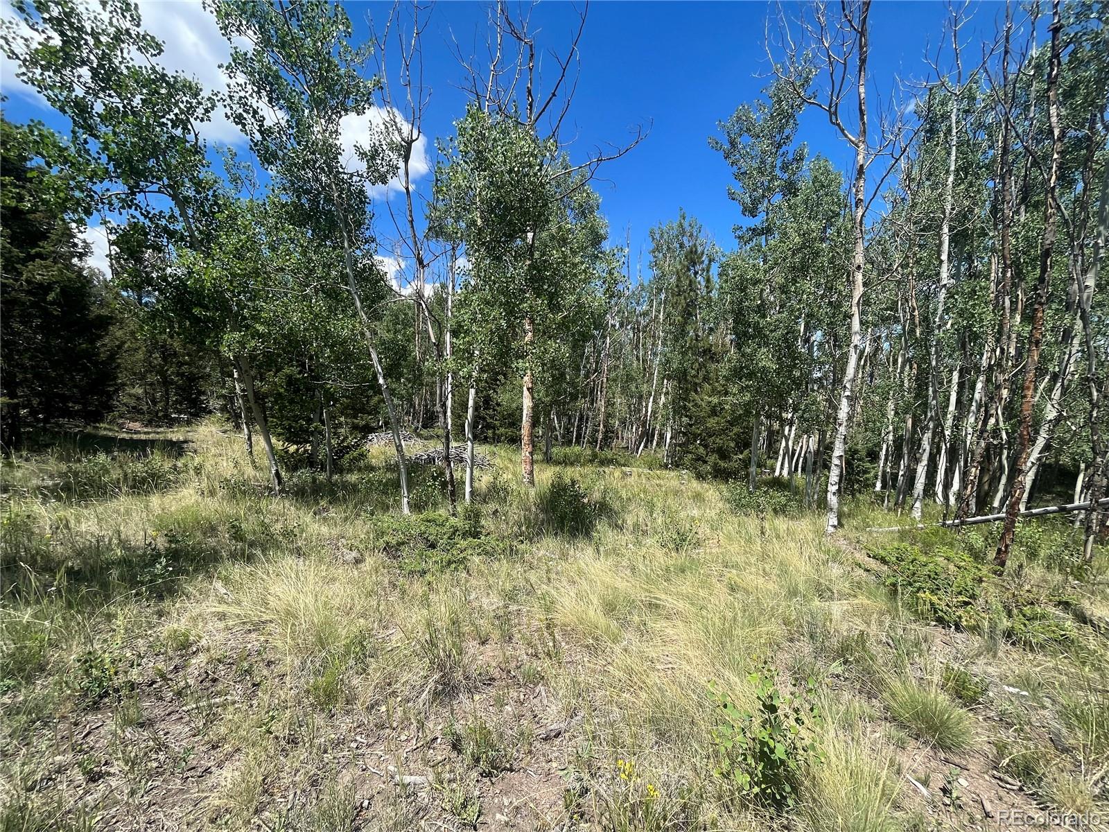 4056 Ranch Road