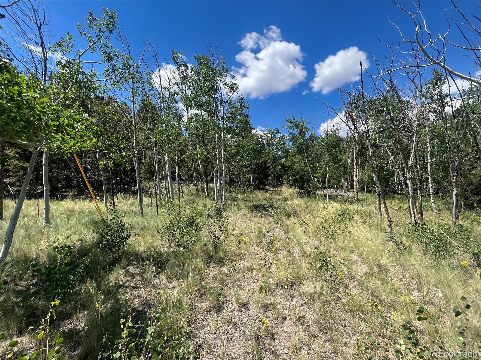 4056 Ranch Road