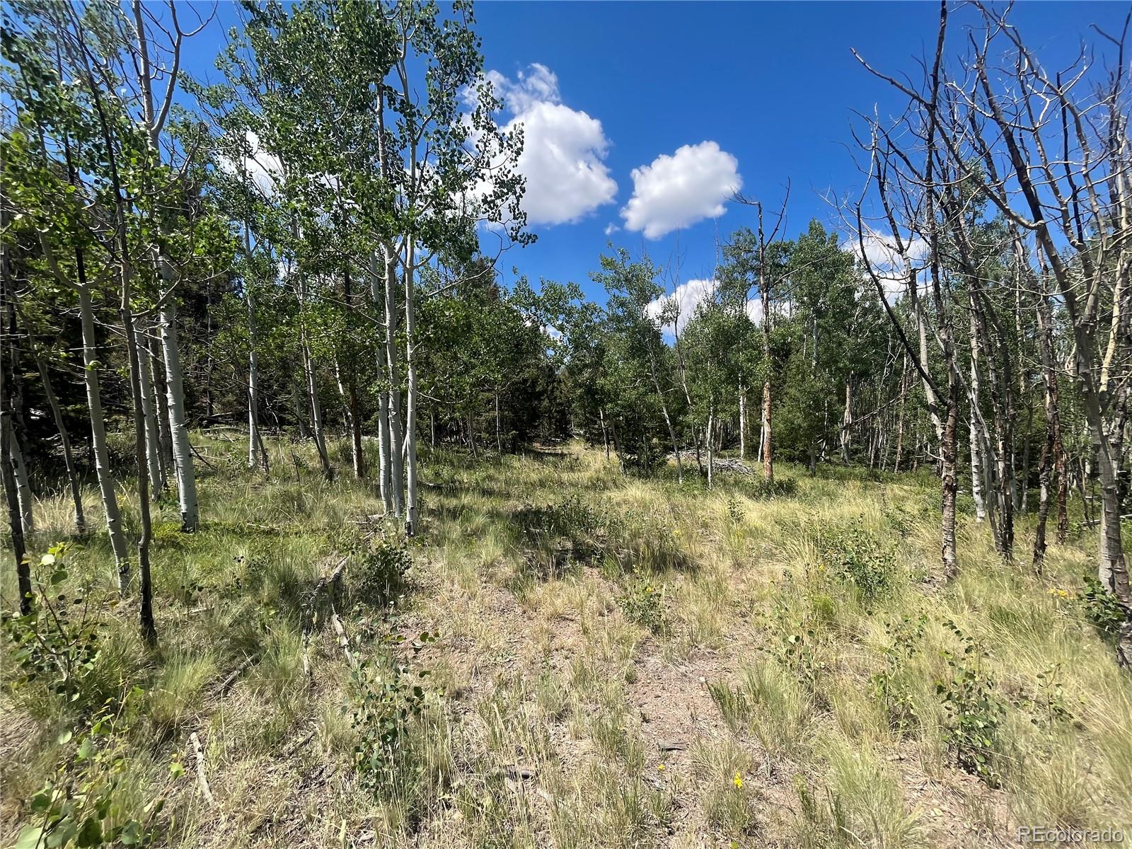 4056 Ranch Road