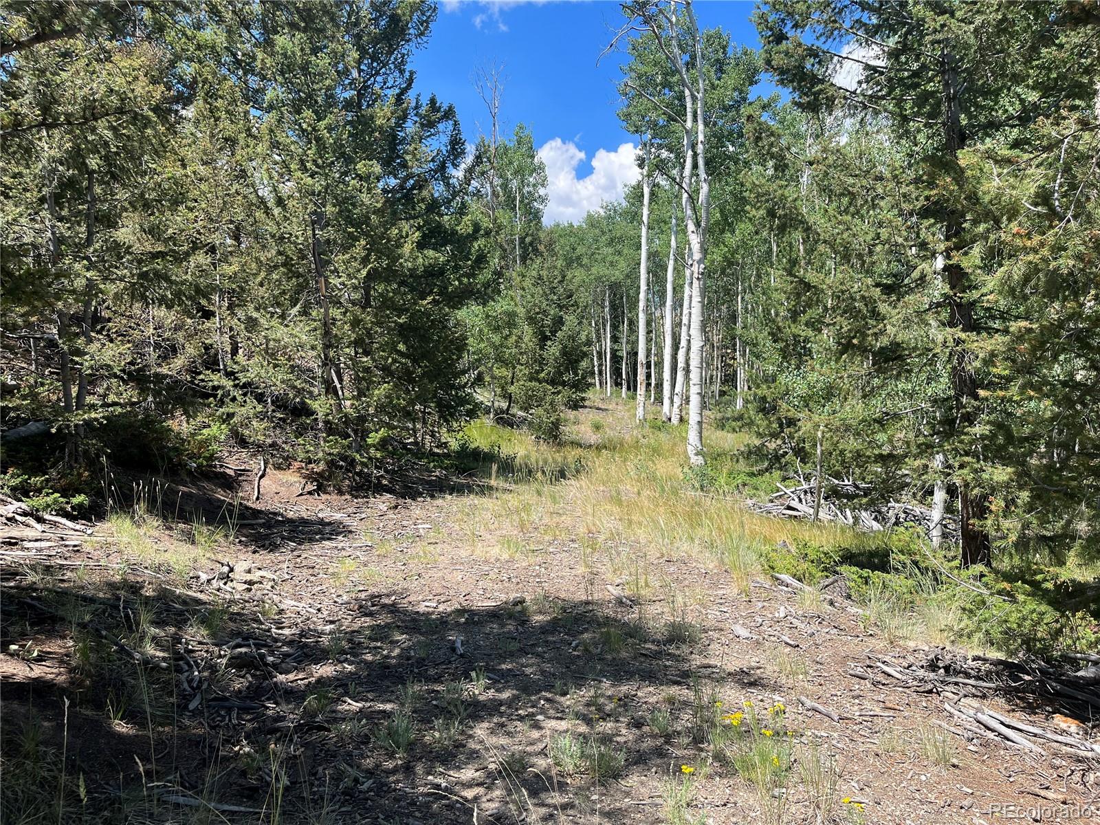 4056 Ranch Road